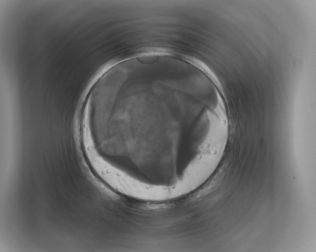 X0000111121243200908111012