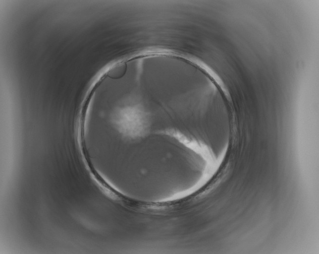 X0000111121245200908111012