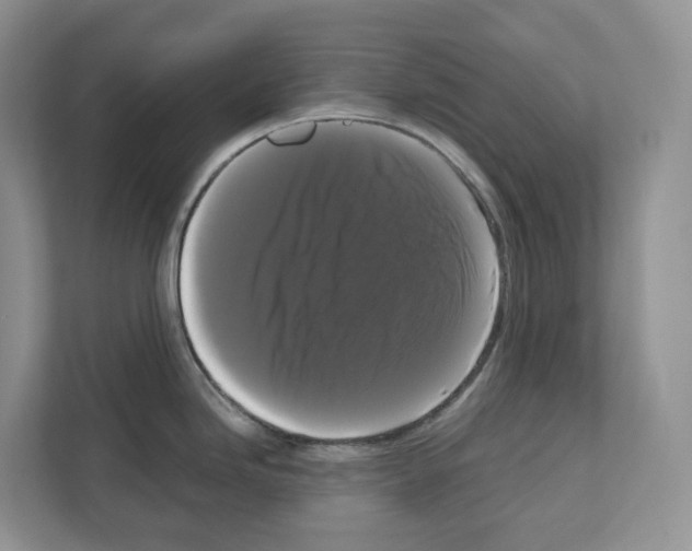 X0000111121246200908111012