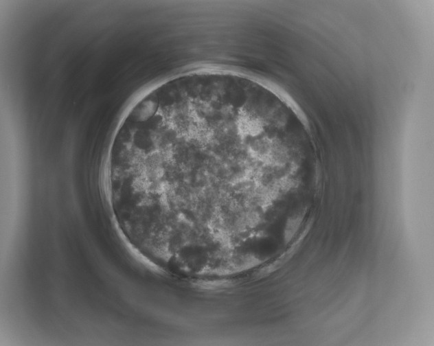 X0000111121247200908111013