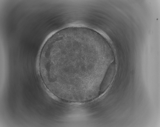 X0000111121248200908111013