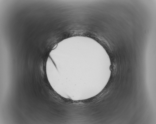 X0000111121250200908111012
