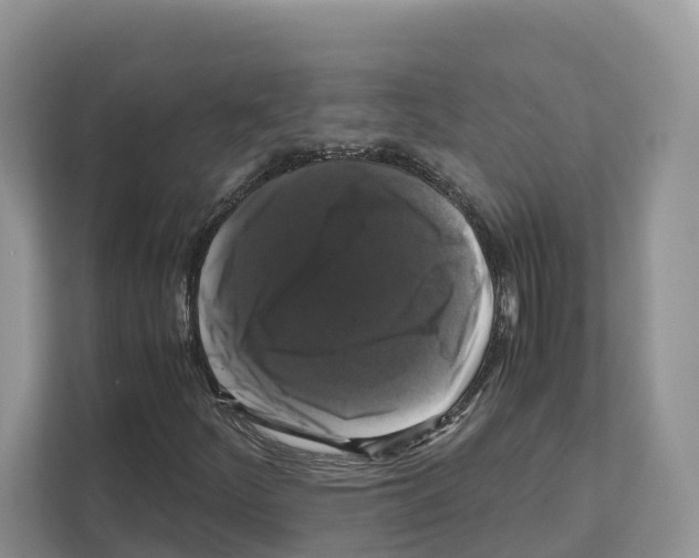 X0000111121252200908111012