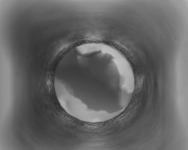 X0000111121254200908111012