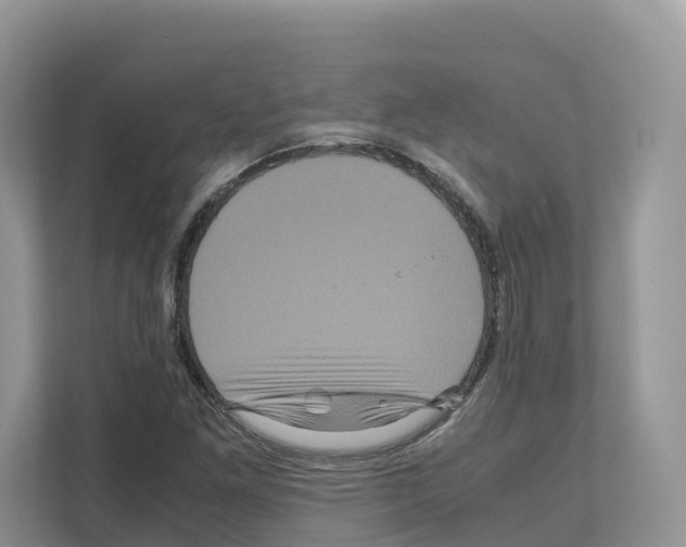 X0000111121261200908111012