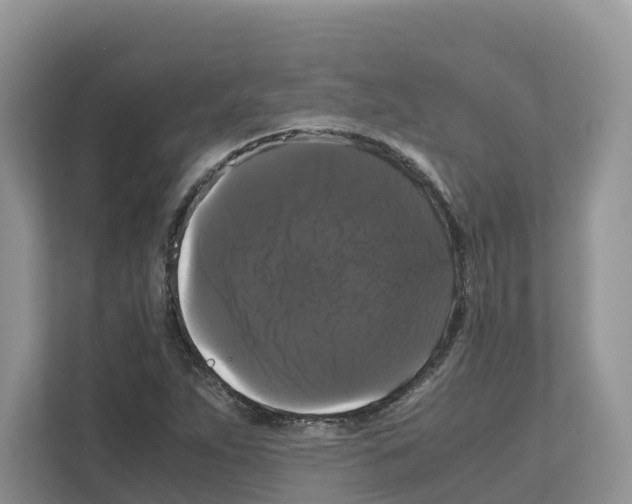 X0000111121263200908111012