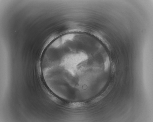 X0000111121274200908111012