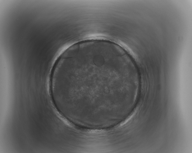 X0000111121277200908111012