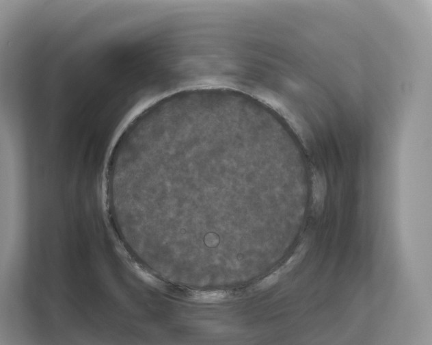 X0000111121278200908111012