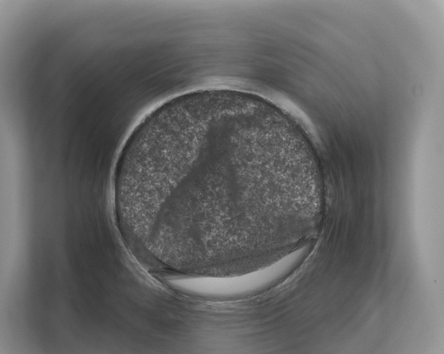 X0000111121280200908111011