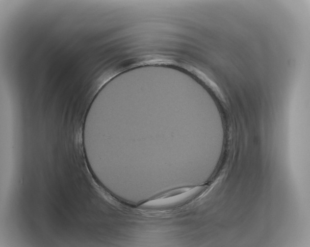 X0000111121281200908111011