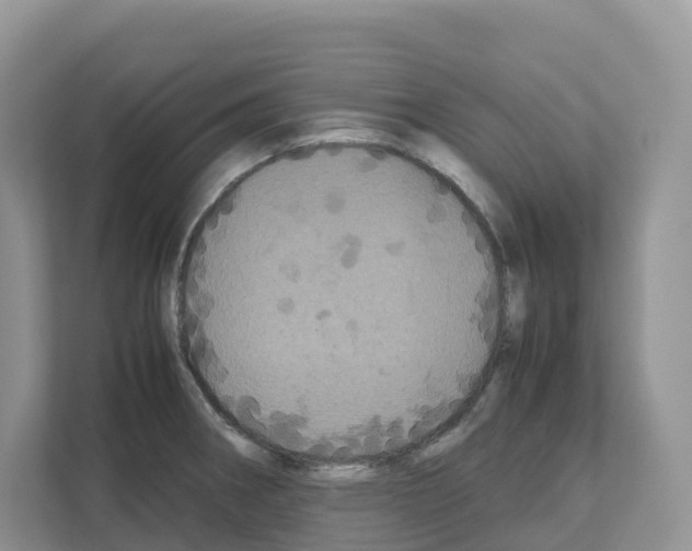 X0000111121282200908111011