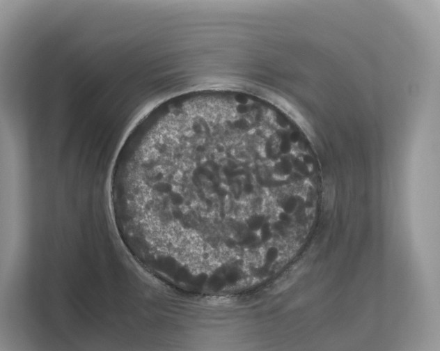 X0000111121283200908111011