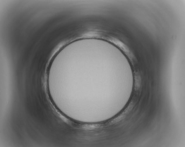 X0000111121286200908111011