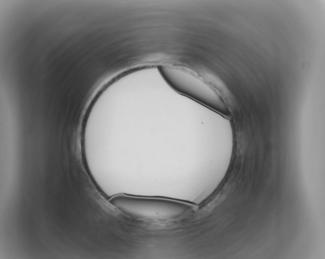 X0000111121288200908111011