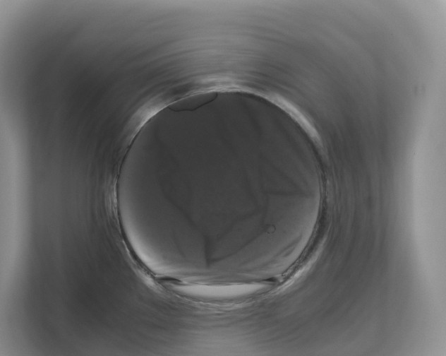 X0000111121289200908111011