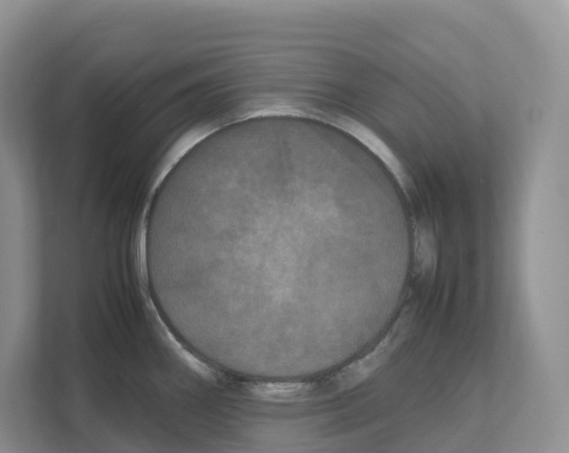 X0000111121290200908111011