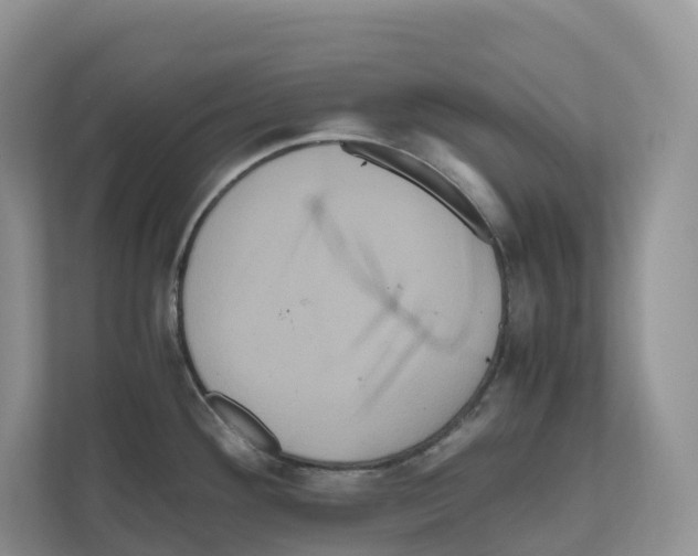 X0000111121292200908111011