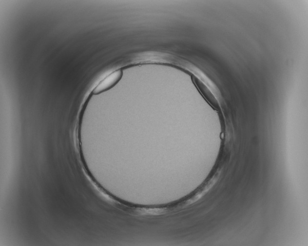 X0000111121293200908111011