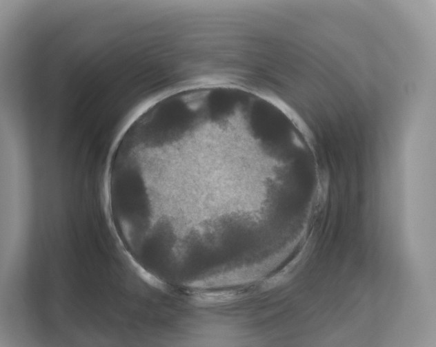X0000111121294200908111011