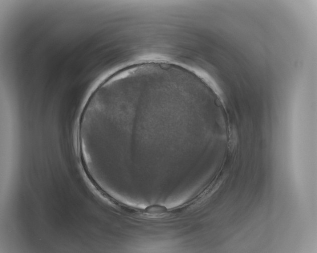 X0000111121295200908111011