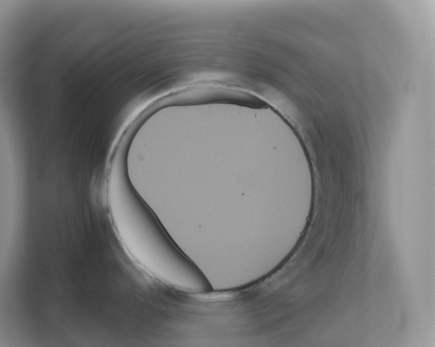 X0000111121296200908111011