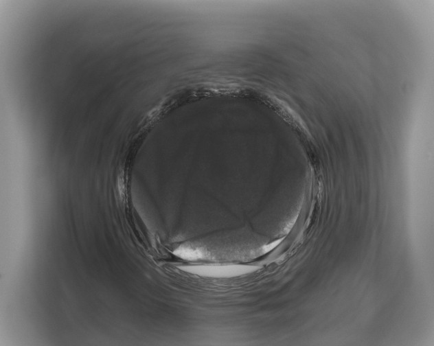X0000111121298200908111011