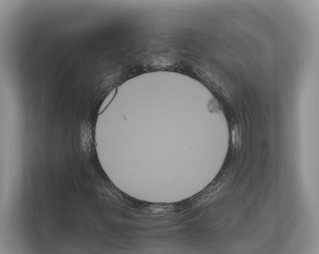 X0000111121299200908111011