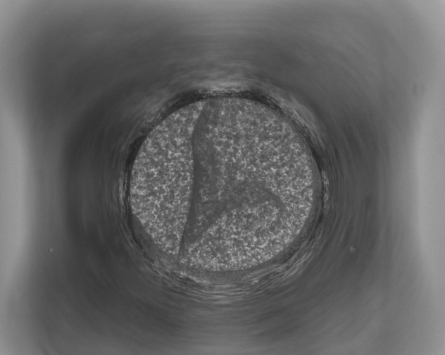 X0000111121300200908111011