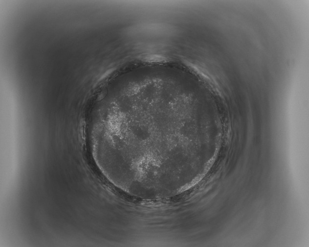 X0000111121301200908111011