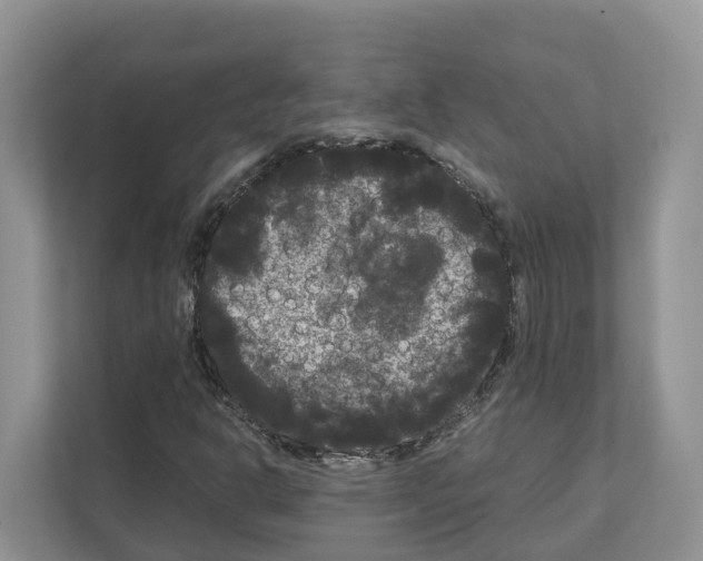 X0000111121302200908111011