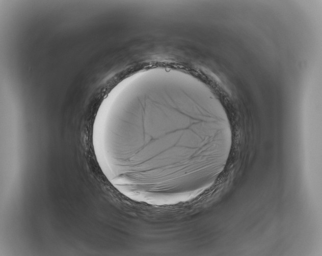 X0000111121303200908111011