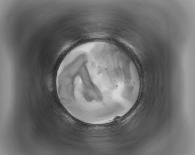 X0000111121306200908111011