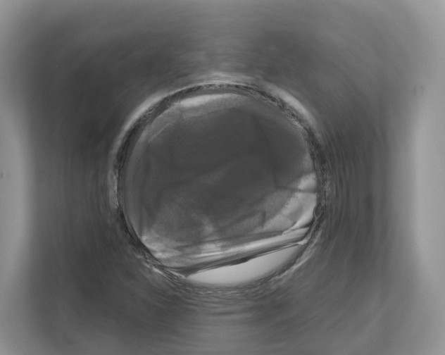 X0000111121310200908111011