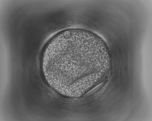 X0000111121311200908111011
