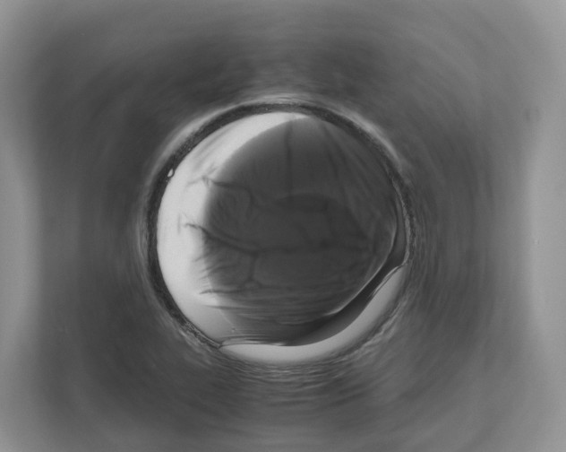 X0000111121319200908111011