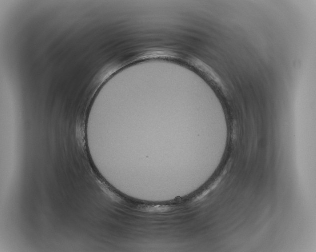 X0000111121321200908111011