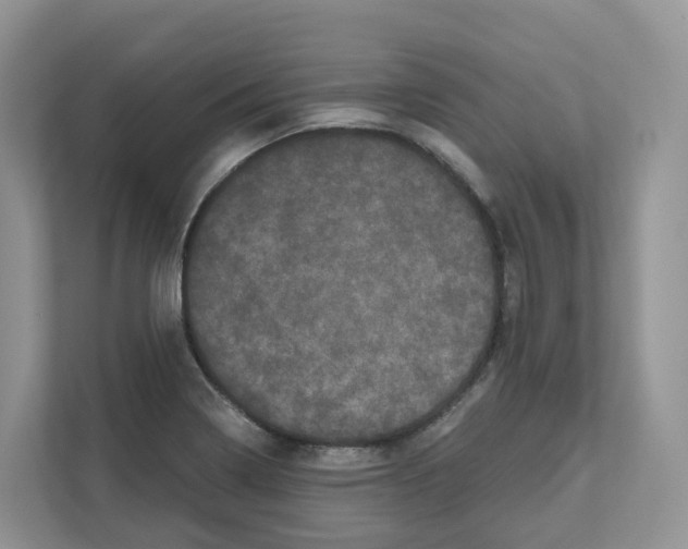 X0000111121322200908111011