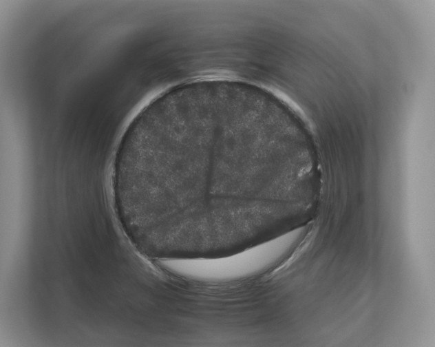 X0000111121325200908111011
