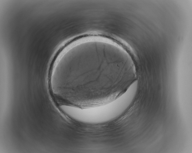 X0000111121327200908111011