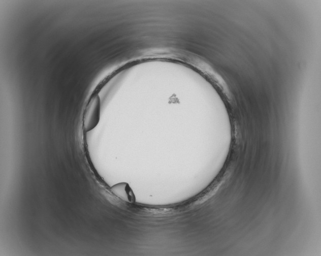 X0000111121328200908111011