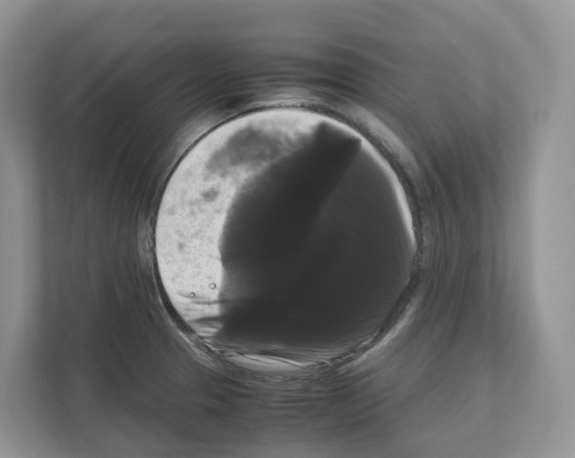 X0000111121329200908111011