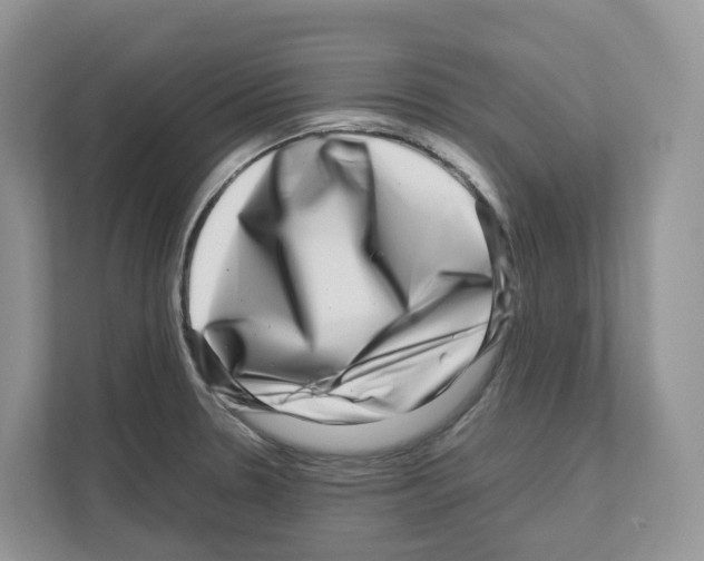 X0000111121330200908111011