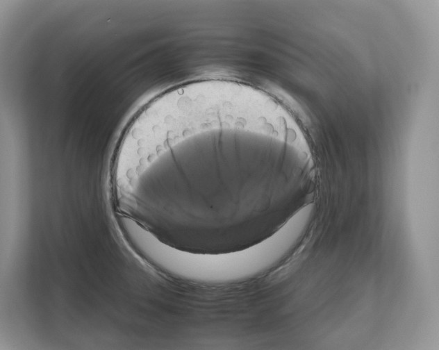 X0000111121331200908111011