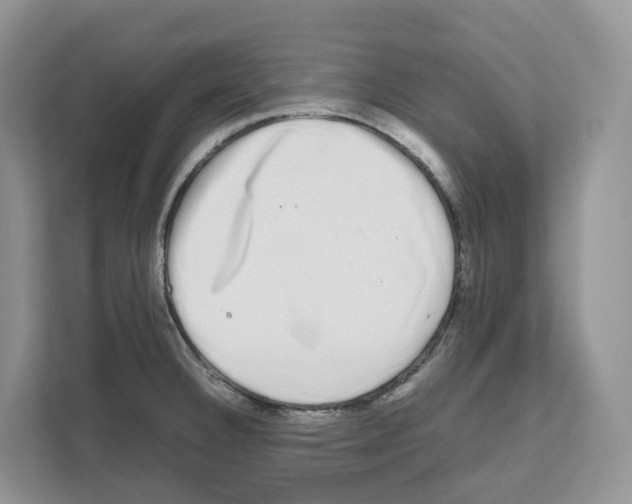 X0000111121332200908111011