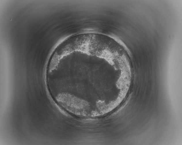 X0000111121333200908111011