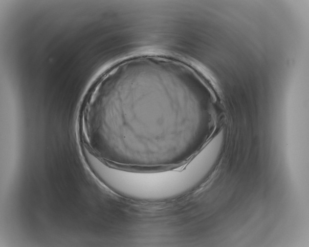 X0000111121334200908111011