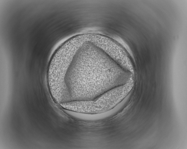 X0000111121336200908111011