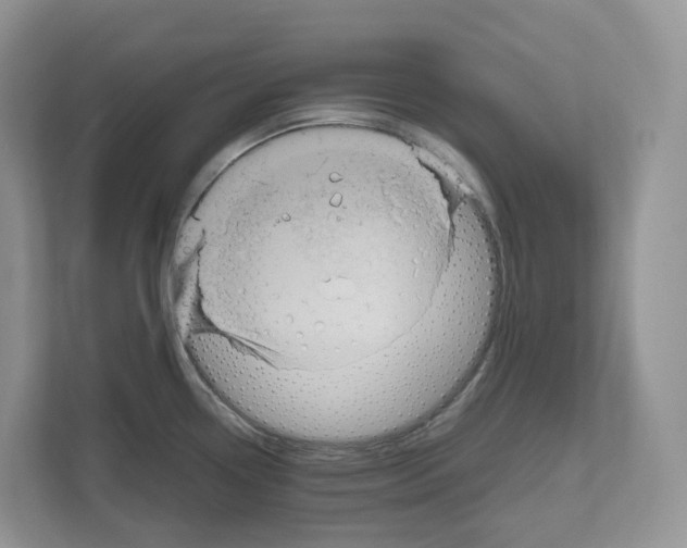 X0000111121338200908111011