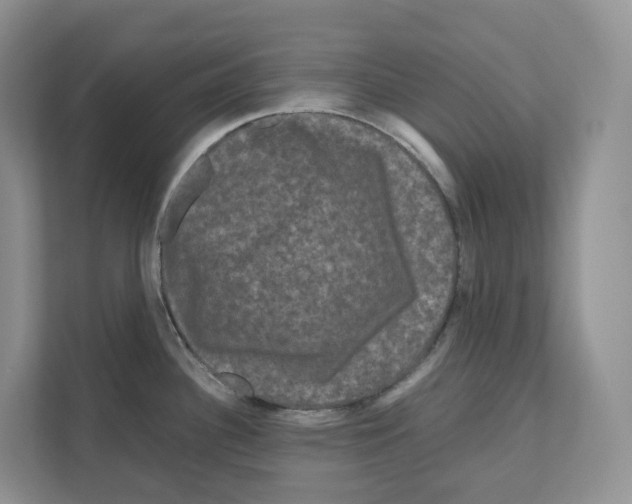 X0000111121340200908111011
